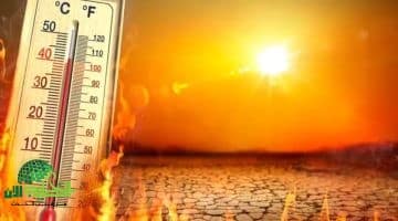 تحذيرات من صيف ملتهب في السعودية. حرارة غير مسبوقة تضرب المملكة في 2025