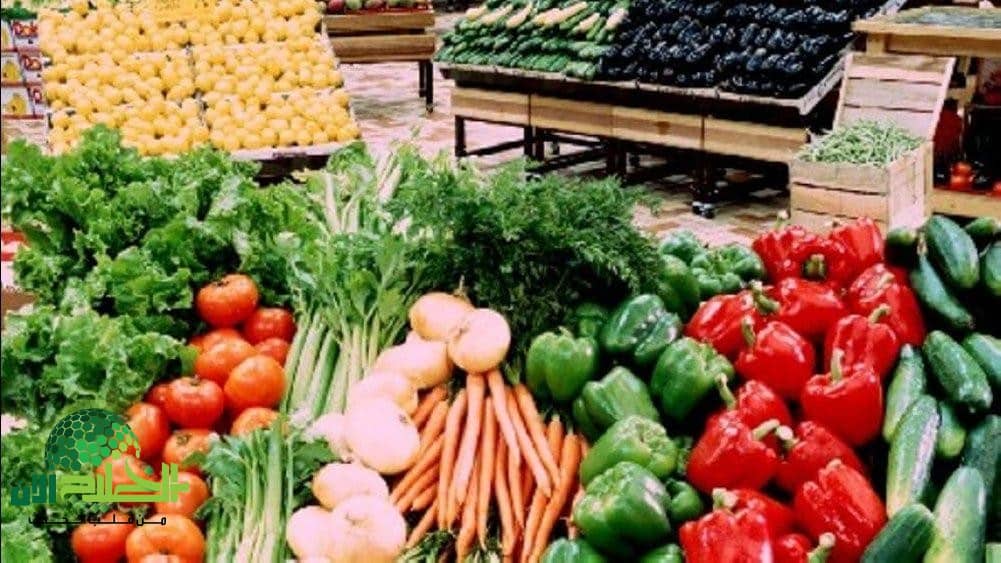 تعرف على أسعار الخضروات والفواكه اليوم الأحد 29 يونيو 2025.. استقرار وسط توقعات إيجابية