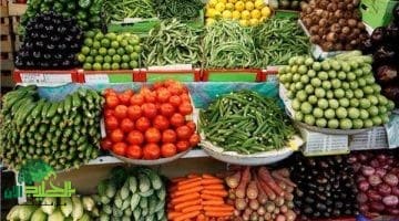 تعرف على أسعار الخضروات والفواكه اليوم الأحد 29 يونيو 2025. استقرار وسط توقعات إيجابية