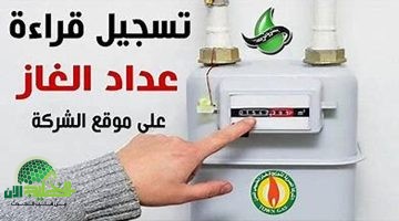 دليلك الكامل لتسجيل قراءة عداد الغاز وسداد فاتورة بتروتريد إلكترونيًا