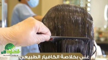 دلّلي شعرك بكافيار طبيعي يمنحك نعومة ولمعان من أول استخدام