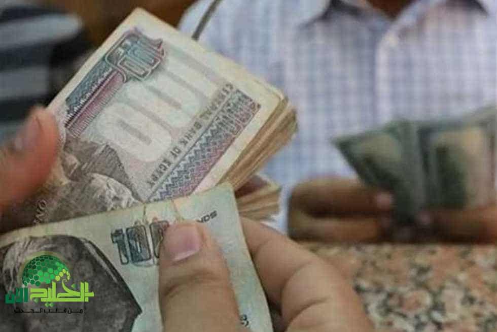 رابط الاستعلام عن منحة العمالة غير المنتظمة 2025 عبر وزارة القوى العاملة.. دعم نقدي قبل عيد الأضحى
