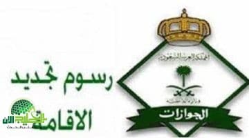 رسميًا. رفع رسوم تجديد الإقامة في السعودية ابتداءً من 20 ذو الحجة 1446