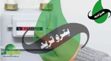 سجل قراءة عداد الغاز على بتروتريد لشهر يوليو بسهولة وادفع الفاتورة إلكترونيًا