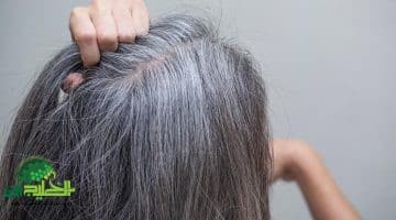 سر الجدات لعلاج الشيب. خلطة حناء وإكليل الجبل تخلصك من الشعر الأبيض من أول استخدام