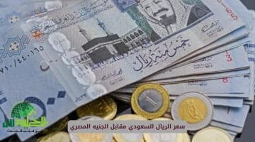 سعر الريال السعودي أمام الجنيه المصري يقفز لمستويات غير مسبوقة. الأسباب والتوقعات الكاملة