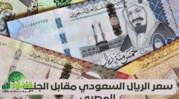 سعر الريال السعودي اليوم أمام الجنيه المصري يقفز إلى مستويات قياسية. تعرف على الأسباب والتوقعات