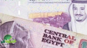 سعر الريال السعودي اليوم مقابل الجنيه المصري 2025. استقرار نسبي رغم اقتراب 14 جنيهًا 2