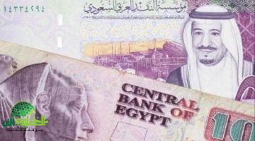 سعر الريال السعودي اليوم مقابل الجنيه المصري 2025. استقرار يسبق موسم الحج