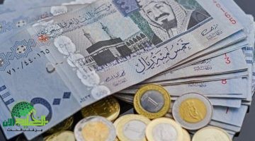 سعر الريال السعودي يقفز أمام الجنيه المصري. الأسباب والتوقعات