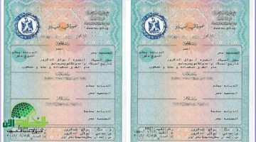 شهادة الميلاد الرقمية متاحة رسميًا للأسر الحاضنة في مصر. خدمة ذكية ومتاحة 247