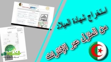 شهادتك رقمية في الجزائر. دليلك لاستخراج شهادة الميلاد إلكترونيًا بسهولة وأمان