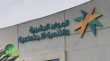 صدمة دفعة يونيو. لماذا تم حرمانك من معاش الضمان المطور؟ الموارد البشرية توضح الأسباب وخطوات الاعتراض