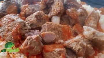 طريقة عمل الفتة الشعبية. نكهة عربية أصيلة بخطوات بسيطة ومذاق لا يُقاوم