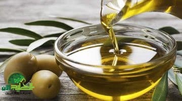 علاج الشعر الجاف بوصفة العسل وزيت الزيتون. نعومة فورية من أول استخدام