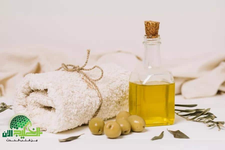 علاج الشعر الجاف بوصفة العسل وزيت الزيتون.. نعومة فورية من أول استخدام