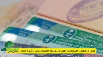 فرصة غير مسبوقة. السعودية تكشف عن طريقة الحصول على تأشيرة العمل دون كفيل