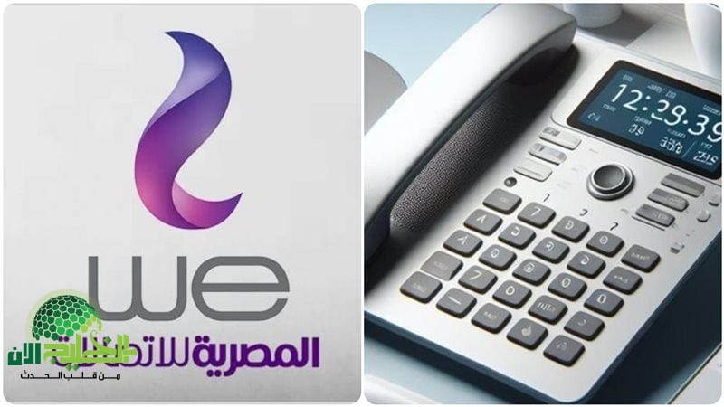 في خطوة واحدة.. طريقة معرفة فاتورة التليفون الأرضي لشهر يوليو 2025 وسدادها إلكترونيًا بسهولة