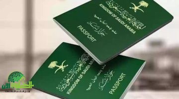 قائمة الدول التي تسمح بدخول السعوديين دون تأشيرة في عام 2025