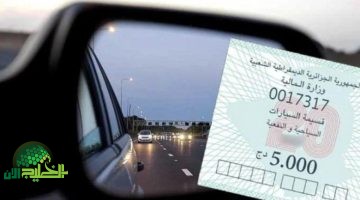 قانون الزواج الجديد في الجزائر 2025. كل ما تحتاج معرفته عن التغييرات الجذرية