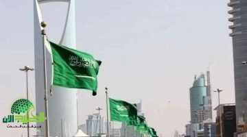 كم عدد سكان السعودية الآن. تعرف على التعداد السكاني لعام 2025 بالتفصيل