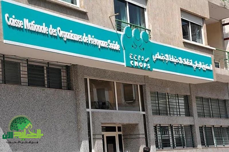 كيف تسجّل في “كنوبس” الجديد بالمغرب 2025.. خطوات سهلة وشروط واضحة