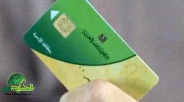 لا تفقد حقك في الدعم. خطوات تحديث بطاقة التموين لتجنب الإيقاف المفاجئ في مصر