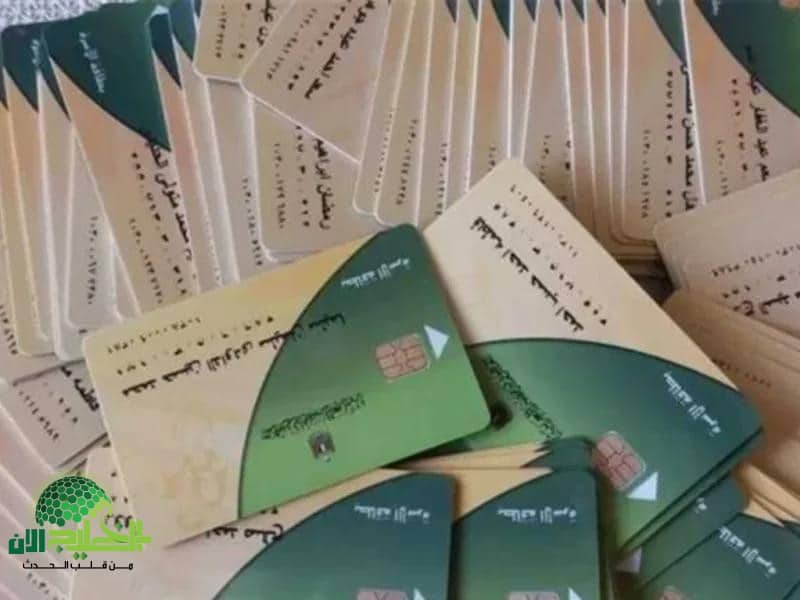 لا تفقد حقك في الدعم.. خطوات تحديث بطاقة التموين لتجنب الإيقاف المفاجئ في مصر