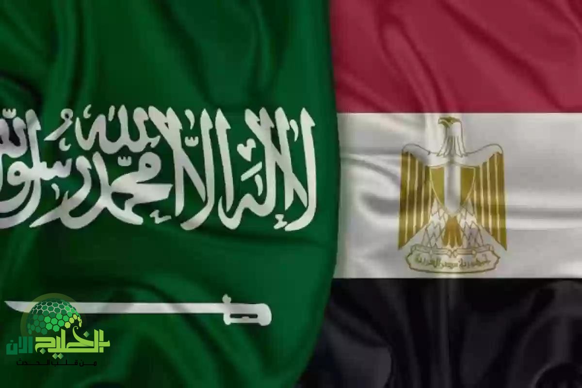 مصر تطلق تسهيلات جديدة للقادمين من السعودية.. تأشيرة إلكترونية وخيارات دفع رقمية تبدأ من مطار القاهرة