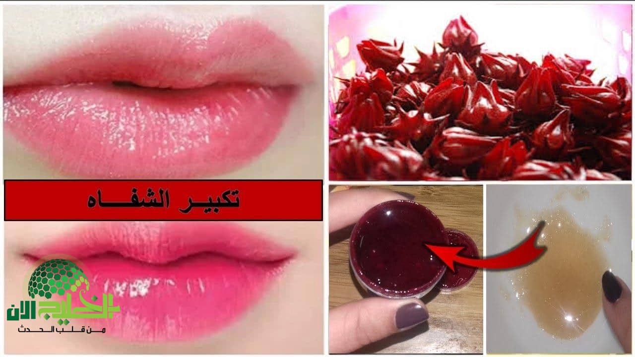 من الشفاه الباهتة إلى الجاذبية الطبيعية.. وصفات منزلية لتوريد الشفايف وامتلائها