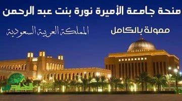 منحة جامعة الأميرة نورة 2024 2025. فرصة ذهبية للطالبات الدوليات للدراسة في السعودية مجانًا