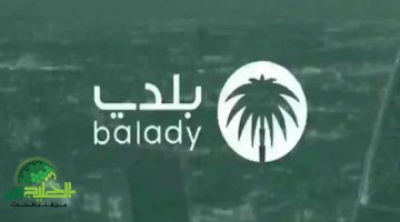 منصة بلدي تطلق خدمة تجديد وإلغاء الشهادة الصحية إلكترونيًا