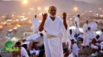 موسم الحج 1446. تفاصيل المسافات بين المشاعر وتنظيم رمي الجمرات لضمان حج آمن وسلس